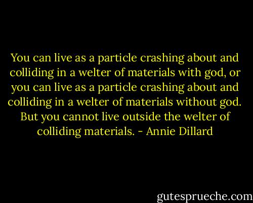 You can live as a particle crashing about and colliding in a welter of materials with god, or you can live as a particle crashing about and colliding in a welter of materials without god. But you cannot live outside the welter of colliding materials. - Annie Dillard