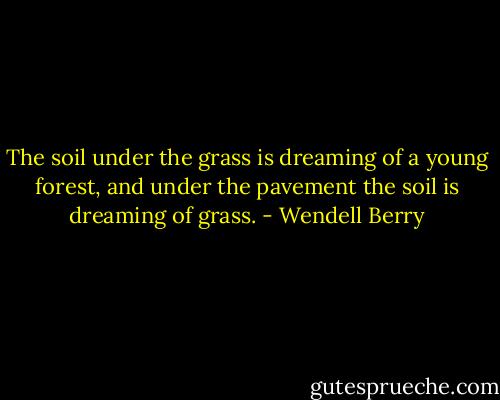 The soil under the grass is dreaming of a young forest, and under the pavement the soil is dreaming of grass. - Wendell Berry