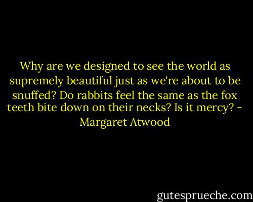 Why are we designed to see the world as supremely beautiful just as we're about to be snuffed? Do rabbits feel the same as the fox teeth bite down on their necks? Is it mercy? - Margaret Atwood