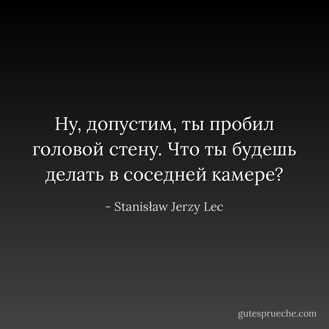 Ну, допустим, ты пробил головой стену. Что ты будешь делать в соседней камере? - Stanisław Jerzy Lec