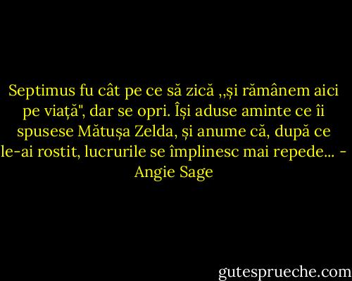 Septimus fu cât pe ce să zică ,,și rămânem aici pe viață", dar se opri. Își aduse aminte ce îi spusese Mătușa Zelda, și anume că, după ce le-ai rostit, lucrurile se împlinesc mai repede... - Angie Sage