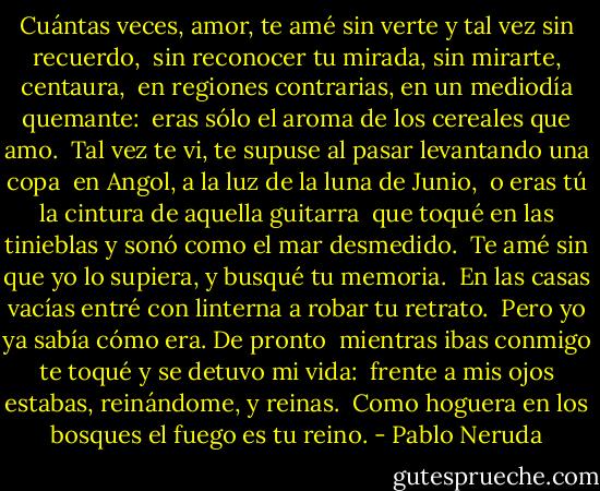 Cuántas veces, amor, te amé sin verte y tal vez sin recuerdo, <br />sin reconocer tu mirada, sin mirarte, centaura, <br />en regiones contrarias, en un mediodía quemante: <br />eras sólo el aroma de los cereales que amo.<br /><br />Tal vez te vi, te supuse al pasar levantando una copa <br />en Angol, a la luz de la luna de Junio, <br />o eras tú la cintura de aquella guitarra <br />que toqué en las tinieblas y sonó como el mar desmedido.<br /><br />Te amé sin que yo lo supiera, y busqué tu memoria. <br />En las casas vacías entré con linterna a robar tu retrato. <br />Pero yo ya sabía cómo era. De pronto<br /><br />mientras ibas conmigo te toqué y se detuvo mi vida: <br />frente a mis ojos estabas, reinándome, y reinas. <br />Como hoguera en los bosques el fuego es tu reino. - Pablo Neruda