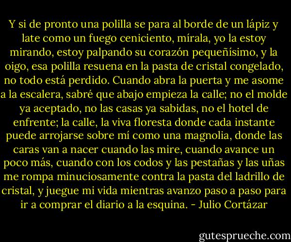 Y si de pronto una polilla se para al borde de un lápiz y late como un fuego ceniciento, mírala, yo la estoy mirando, estoy palpando su corazón pequeñísimo, y la oigo, esa polilla resuena en la pasta de cristal congelado, no todo está perdido. Cuando abra la puerta y me asome a la escalera, sabré que abajo empieza la calle; no el molde ya aceptado, no las casas ya sabidas, no el hotel de enfrente; la calle, la viva floresta donde cada instante puede arrojarse sobre mí como una magnolia, donde las caras van a nacer cuando las mire, cuando avance un poco más, cuando con los codos y las pestañas y las uñas me rompa minuciosamente contra la pasta del ladrillo de cristal, y juegue mi vida mientras avanzo paso a paso para ir a comprar el diario a la esquina. - Julio Cortázar