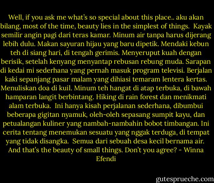 Well, if you ask me what’s so special about this place.. aku akan bilang, most of the time, beauty lies in the simplest of things.<br /><br />Kayak semilir angin pagi dari teras kamar.<br />Minum air tanpa harus dijerang lebih dulu.<br />Makan sayuran hijau yang baru dipetik.<br />Mendaki kebun teh di siang hari, di tengah gerimis.<br />Menyeruput kuah dengan berisik, setelah kenyang menyantap rebusan rebung muda.<br />Sarapan di kedai mi sederhana yang pernah masuk program televisi.<br />Berjalan kaki sepanjang pasar malam yang dihiasi temaram lentera kertas.<br />Menuliskan doa di kuil.<br />Minum teh hangat di atap terbuka, di bawah hamparan langit berbintang.<br />Hiking di rain forest dan menikmati alam terbuka.<br /><br />Ini hanya kisah perjalanan sederhana, dibumbui beberapa gigitan nyamuk, oleh-oleh sepasang sumpit kayu, dan petualangan kuliner yang nambah-nambahin bobot timbangan. Ini cerita tentang menemukan sesuatu yang nggak terduga, di tempat yang tidak disangka.<br /><br />Semua dari sebuah desa kecil bernama air.<br /><br />And that’s the beauty of small things.<br />Don’t you agree? - Winna Efendi