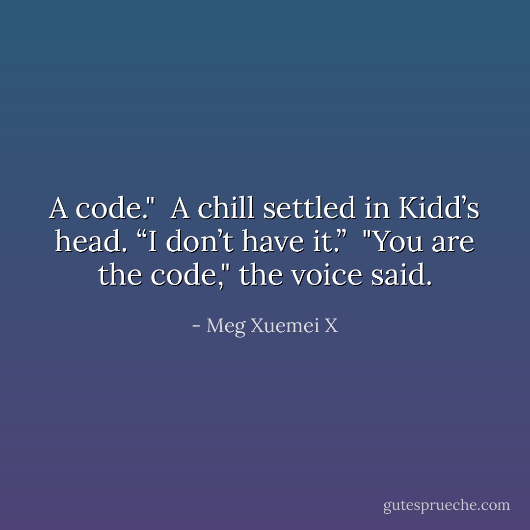A code." <br />A chill settled in Kidd’s head. “I don’t have it.” <br />"You are the code," the voice said. - Meg Xuemei X