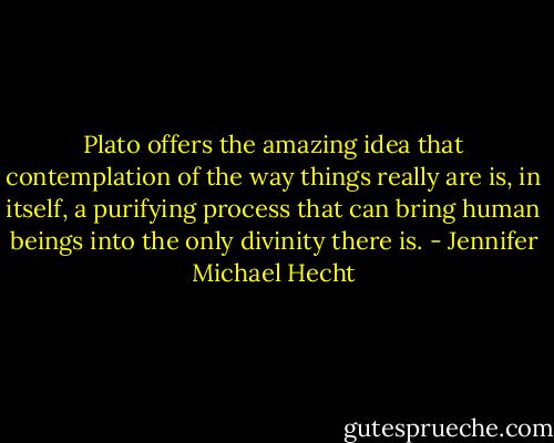 Plato offers the amazing idea that contemplation of the way things really are is, in itself, a purifying process that can bring human beings into the only divinity there is. - Jennifer Michael Hecht