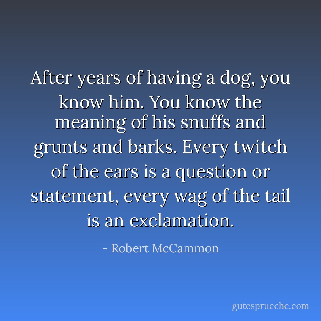 After years of having a dog, you know him. You know the meaning of his snuffs and grunts and barks. Every twitch of the ears is a question or statement, every wag of the tail is an exclamation. - Robert McCammon