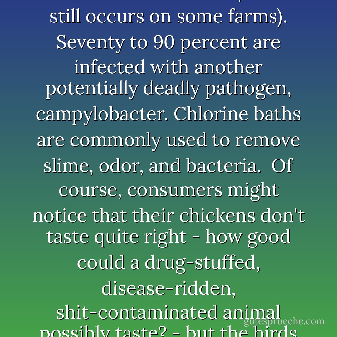 Scientific studies and government records suggest that virtually all (upwards of 95 percent of) chickens become infected with E. coli (an indicator of fecal contamination) and between 39 and 75 percent of chickens in retail stores are still infected. Around 8 percent of birds become infected with salmonella (down from several years ago, when at least one in four birds was infected, which still occurs on some farms). Seventy to 90 percent are infected with another potentially deadly pathogen, campylobacter. Chlorine baths are commonly used to remove slime, odor, and bacteria.<br /><br />Of course, consumers might notice that their chickens don't taste quite right - how good could a drug-stuffed, disease-ridden, shit-contaminated animal possibly taste? - but the birds will be injected (or otherwise pumped up) with "broths" and salty solutions to give them what we have come to think of as the chicken look, smell, and taste. (A recent study by Consumer Reports found that chicken and turkey products, many labeled as natural, "ballooned with 10 to 30 percent of their weight as broth, flavoring, or water. - Jonathan Safran Foer