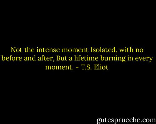 Not the intense moment<br />Isolated, with no before and after,<br />But a lifetime burning in every moment. - T.S. Eliot