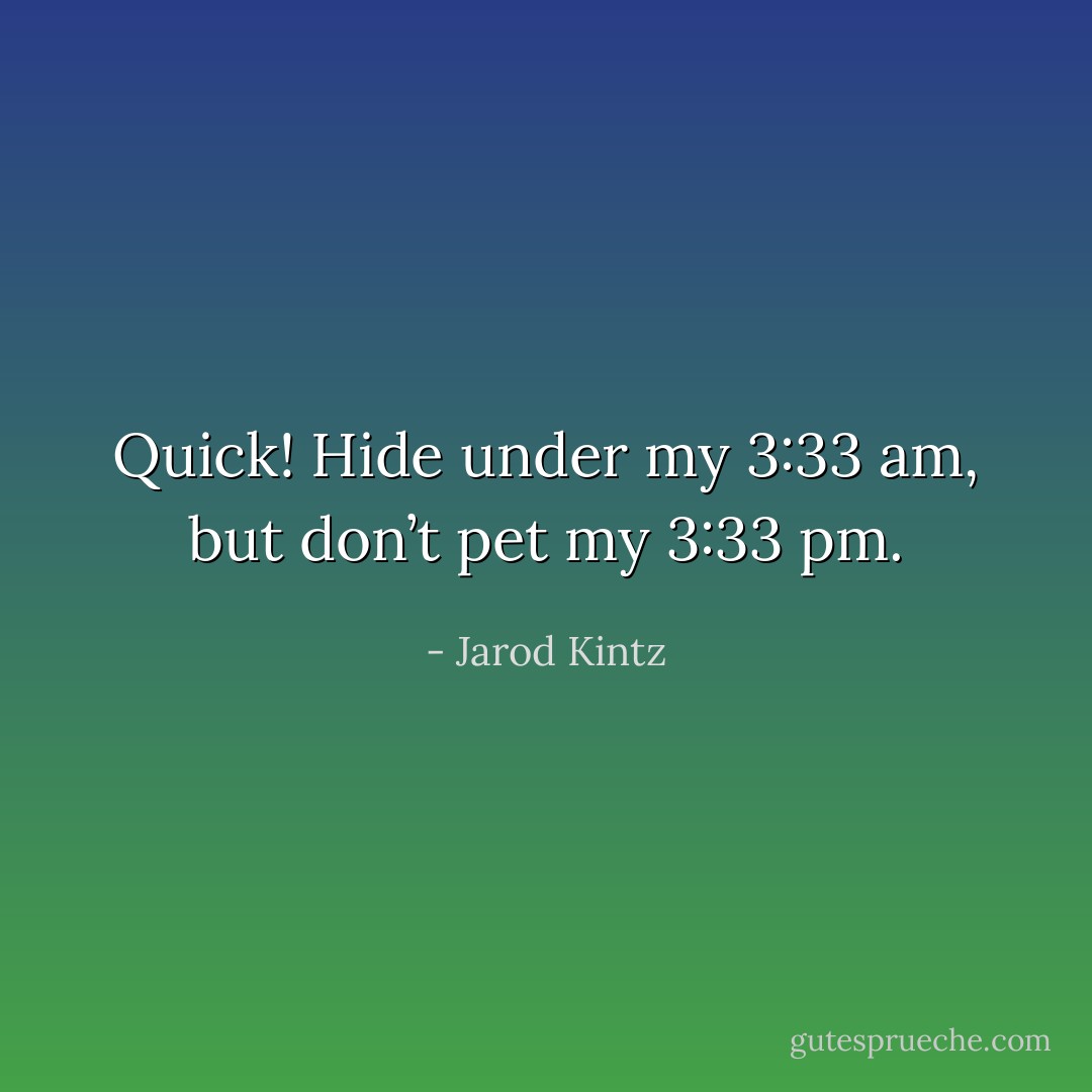 Quick! Hide under my 3:33 am, but don’t pet my 3:33 pm. - Jarod Kintz