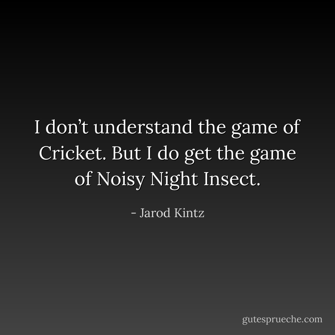 I don’t understand the game of Cricket. But I do get the game of Noisy Night Insect. - Jarod Kintz