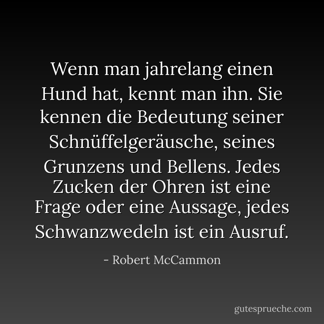 Wenn man jahrelang einen Hund hat, kennt man ihn. Sie kennen die Bedeutung seiner Schnüffelgeräusche, seines Grunzens und Bellens. Jedes Zucken der Ohren ist eine Frage oder eine Aussage, jedes Schwanzwedeln ist ein Ausruf. - Robert McCammon<