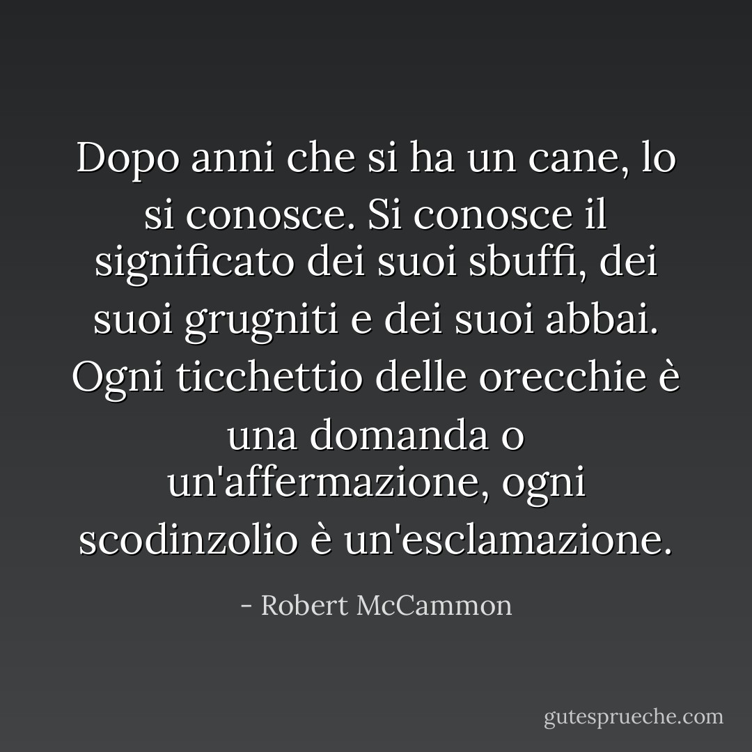 Dopo anni che si ha un cane, lo si conosce. Si conosce il significato dei suoi sbuffi, dei suoi grugniti e dei suoi abbai. Ogni ticchettio delle orecchie è una domanda o un'affermazione, ogni scodinzolio è un'esclamazione. - Robert McCammon