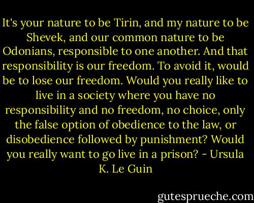 It's your nature to be Tirin, and my nature to be Shevek, and our common nature to be Odonians, responsible to one another. And that responsibility is our freedom. To avoid it, would be to lose our freedom. Would you really like to live in a society where you have no responsibility and no freedom, no choice, only the false option of obedience to the law, or disobedience followed by punishment? Would you really want to go live in a prison? - Ursula K. Le Guin