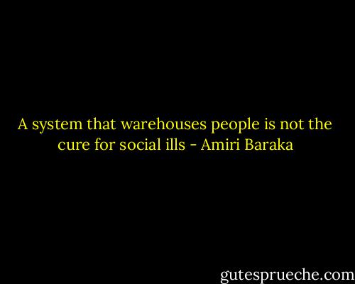 A system that warehouses people is not the cure for social ills - Amiri Baraka
