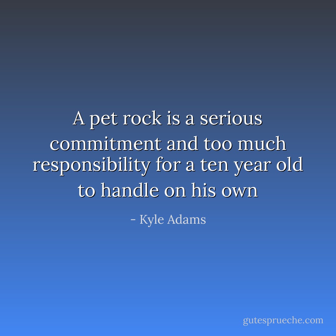 A pet rock is a serious commitment and too much responsibility for a ten year old to handle on his own - Kyle Adams