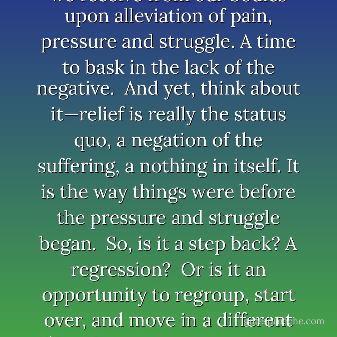 Relief is a great feeling.<br /><br />It’s the emotional and physical reward we receive from our bodies upon alleviation of pain, pressure and struggle. A time to bask in the lack of the negative.<br /><br />And yet, think about it—relief is really the <i>status quo</i>, a negation of the suffering, a <i>nothing</i> in itself. It is the way things were before the pressure and struggle began.<br /><br />So, is it a step back? A regression?<br /><br />Or is it an opportunity to regroup, start over, and move in a different direction?<br /><br />Use your moment of relief well. - Vera Nazarian