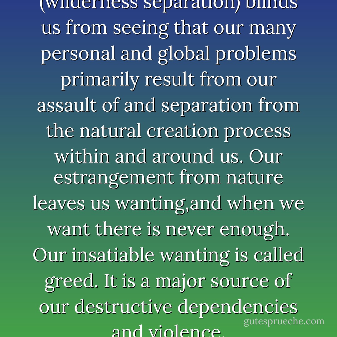 Our incredible bewilderment (wilderness separation) blinds us from seeing that our many personal and global problems primarily result from our assault of and separation from the natural creation process within and around us. Our estrangement from nature leaves us wanting,and when we want there is never enough. Our insatiable wanting is called greed. It is a major source of our destructive dependencies and violence. - Michael J. Cohen