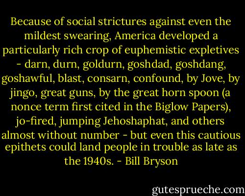 Because of social strictures against even the mildest swearing, America developed a particularly rich crop of euphemistic expletives - darn, durn, goldurn, goshdad, goshdang, goshawful, blast, consarn, confound, by Jove, by jingo, great guns, by the great horn spoon (a nonce term first cited in the Biglow Papers), jo-fired, jumping Jehoshaphat, and others almost without number - but even this cautious epithets could land people in trouble as late as the 1940s. - Bill Bryson