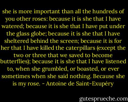 she is more important than all the hundreds of you other roses: because it is she that I have watered;<br />because it is she that I have put under the glass globe; because it is she that I have sheltered behind the<br />screen; because it is for her that I have killed the caterpillars (except the two or three that we saved to<br />become butterflies); because it is she that I have listened to, when she grumbled, or boasted, or ever<br />sometimes when she said nothing. Because she is my rose. - Antoine de Saint-Exupéry