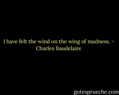 I have felt the wind on the wing of madness. - Charles Baudelaire