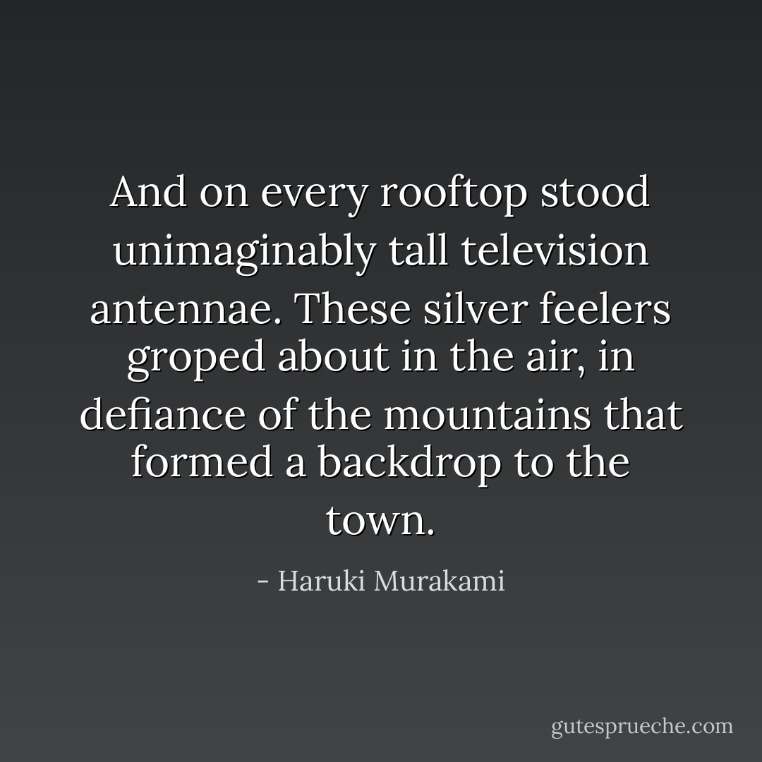 And on every rooftop stood unimaginably tall television antennae. These silver feelers groped about in the air, in defiance of the mountains that formed a backdrop to the town. - Haruki Murakami