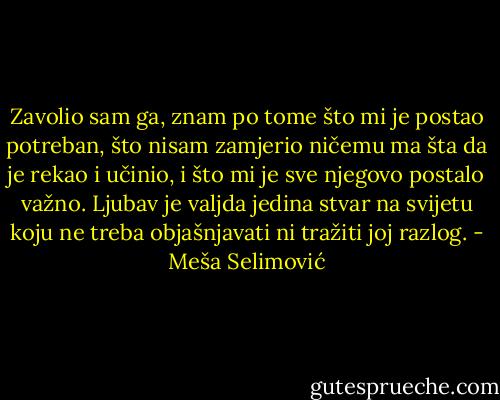 Zavolio sam ga, znam po tome što mi je postao potreban, što nisam zamjerio ničemu ma šta da je rekao i učinio, i što mi je sve njegovo postalo važno. Ljubav je valjda jedina stvar na svijetu koju ne treba objašnjavati ni tražiti joj razlog. - Meša Selimović