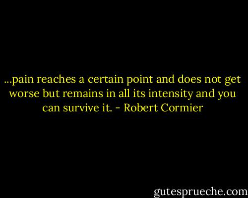 ...pain reaches a certain point and does not get worse but remains in all its intensity and you can survive it. - Robert Cormier