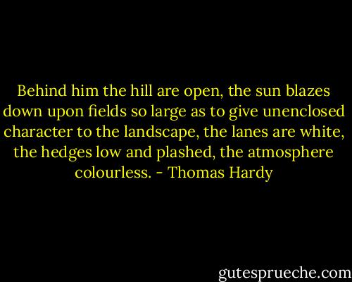 Behind him the hill are open, the sun blazes down upon fields so large as to give unenclosed character to the landscape, the lanes are white, the hedges low and plashed, the atmosphere colourless. - Thomas Hardy