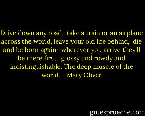 Drive down any road,<br /><br />take a train or an airplane<br />across the world, leave<br />your old life behind,<br /><br />die and be born again~<br />wherever you arrive<br />they'll be there first,<br /><br />glossy and rowdy<br />and indistinguishable.<br />The deep muscle of the world. - Mary Oliver