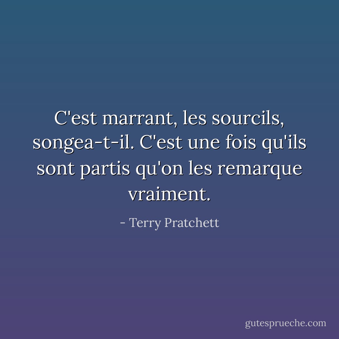 C'est marrant, les sourcils, songea-t-il. C'est une fois qu'ils sont partis qu'on les remarque vraiment. - Terry Pratchett