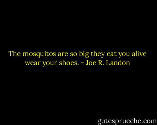 The mosquitos are so big they eat you alive wear your shoes. - Joe R. Landon