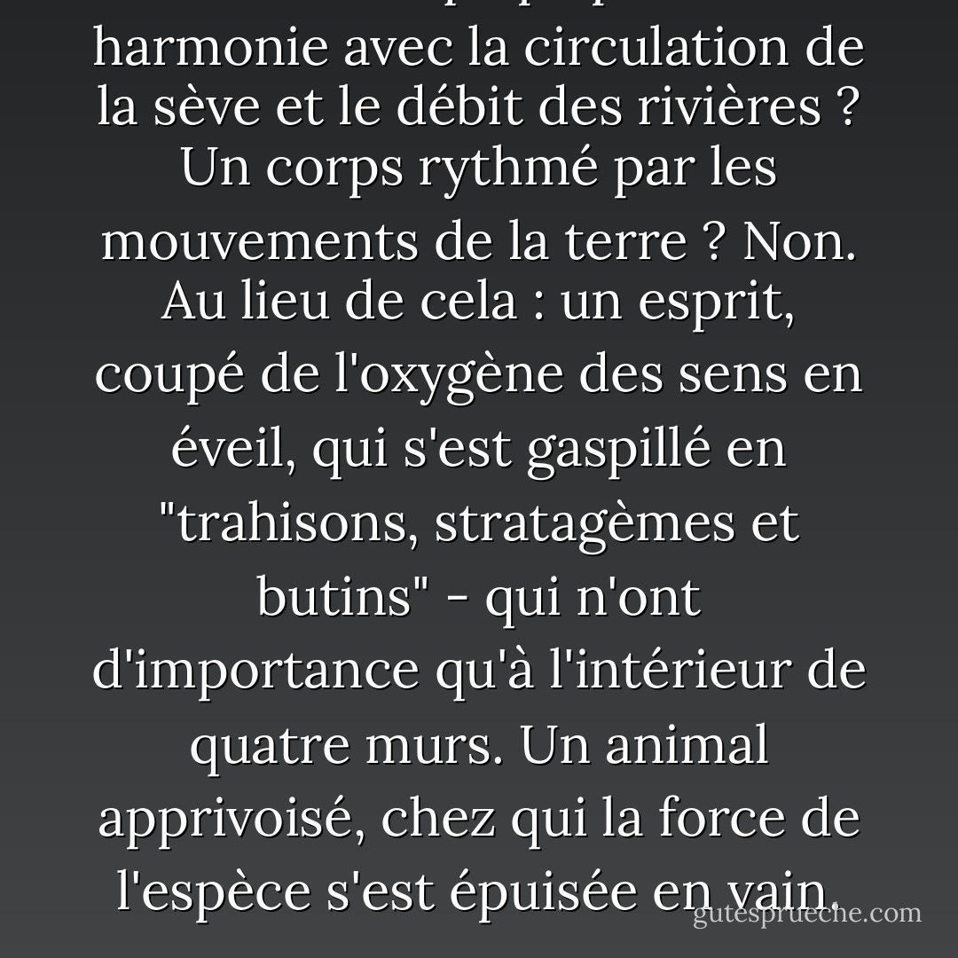 Un cœur qui palpite en harmonie avec la circulation de la sève et le débit des rivières ? Un corps rythmé par les mouvements de la terre ? Non. Au lieu de cela : un esprit, coupé de l'oxygène des sens en éveil, qui s'est gaspillé en "trahisons, stratagèmes et butins" - qui n'ont d'importance qu'à l'intérieur de quatre murs. Un animal apprivoisé, chez qui la force de l'espèce s'est épuisée en vain. - Dag Hammarskjöld