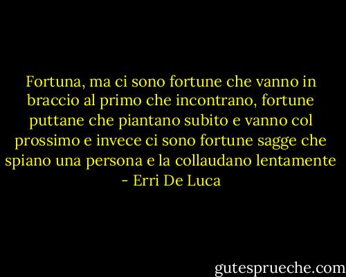 Fortuna, ma ci sono fortune che vanno in braccio al primo che incontrano, fortune puttane che piantano subito e vanno col prossimo e invece ci sono fortune sagge che spiano una persona e la collaudano lentamente - Erri De Luca