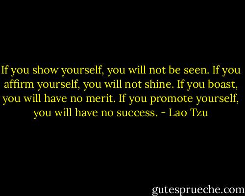 If you show yourself, you will not be seen. If you affirm yourself, you will not shine. If you boast, you will have no merit. If you promote yourself, you will have no success. - Lao Tzu