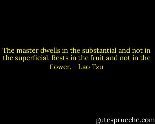 The master dwells in the substantial and not in the superficial. Rests in the fruit and not in the flower. - Lao Tzu