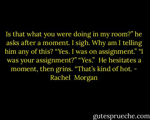 Is that what you were doing in my room?” he asks after a moment.<br />I sigh. Why am I telling him any of this? “Yes. I was on assignment.”<br />“I was your assignment?”<br />“Yes.” <br />He hesitates a moment, then grins. “That’s kind of hot. - Rachel  Morgan