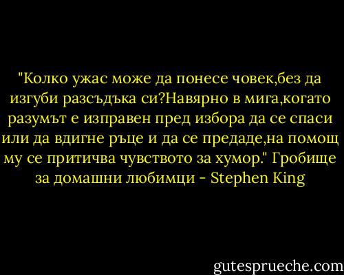 ‎"Колко ужас може да понесе човек,без да изгуби разсъдъка си?Навярно в мига,когато разумът е изправен пред избора да се спаси или да вдигне ръце и да се предаде,на помощ му се притичва чувството за хумор."<br />Гробище за домашни любимци - Stephen King