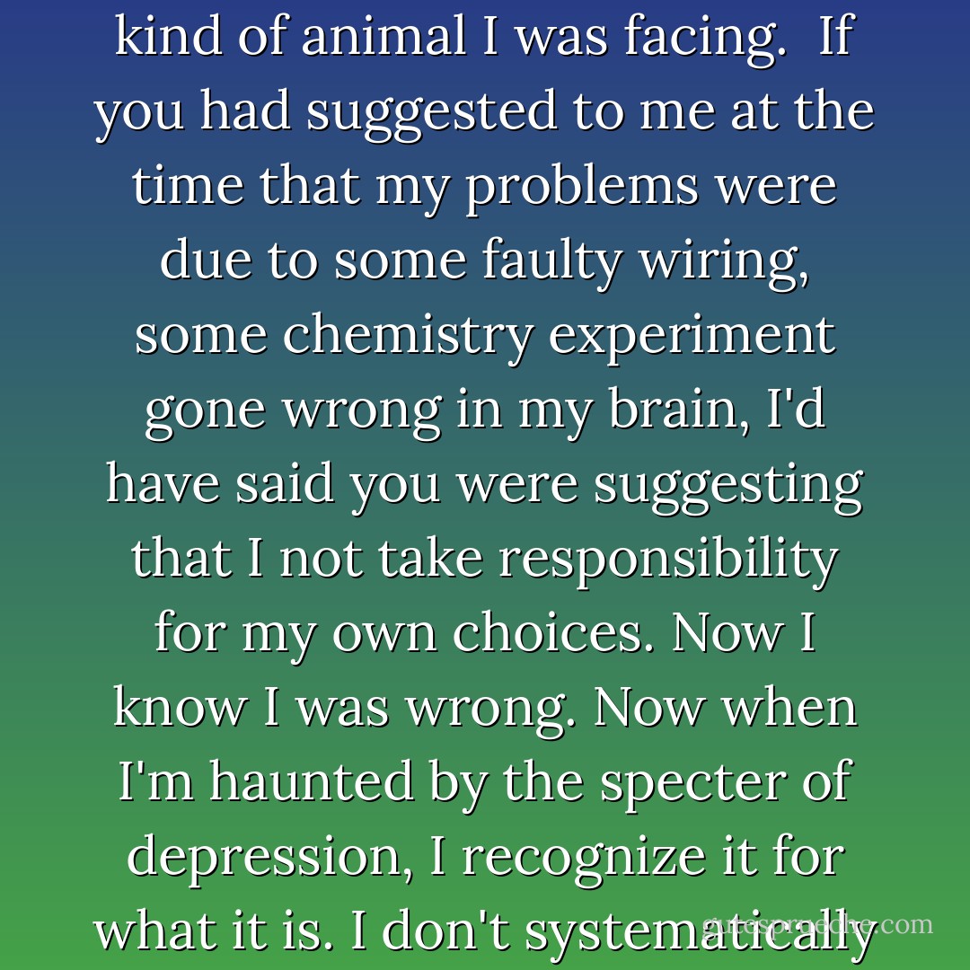 I was sure that if I could just scale this fortress I would reach a height with a sunny blue sky and fresh air. I would stand there and experience myself as redeemable rather than ruined. I had no idea what kind of animal I was facing.<br /><br />If you had suggested to me at the time that my problems were due to some faulty wiring, some chemistry experiment gone wrong in my brain, I'd have said you were suggesting that I not take responsibility for my own choices. Now I know I was wrong. Now when I'm haunted by the specter of depression, I recognize it for what it is. I don't systematically dismantle my life every time depression pops out from behind a tree. But at that time, I was sure it was fixable if the world would just change faster, or if I would. - Jillian Lauren