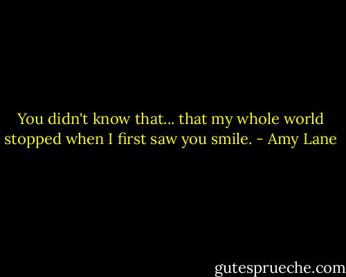 You didn't know that... that my whole world stopped when I first saw you smile. - Amy Lane