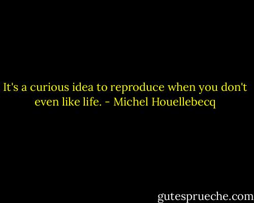 It's a curious idea to reproduce when you don't even like life. - Michel Houellebecq