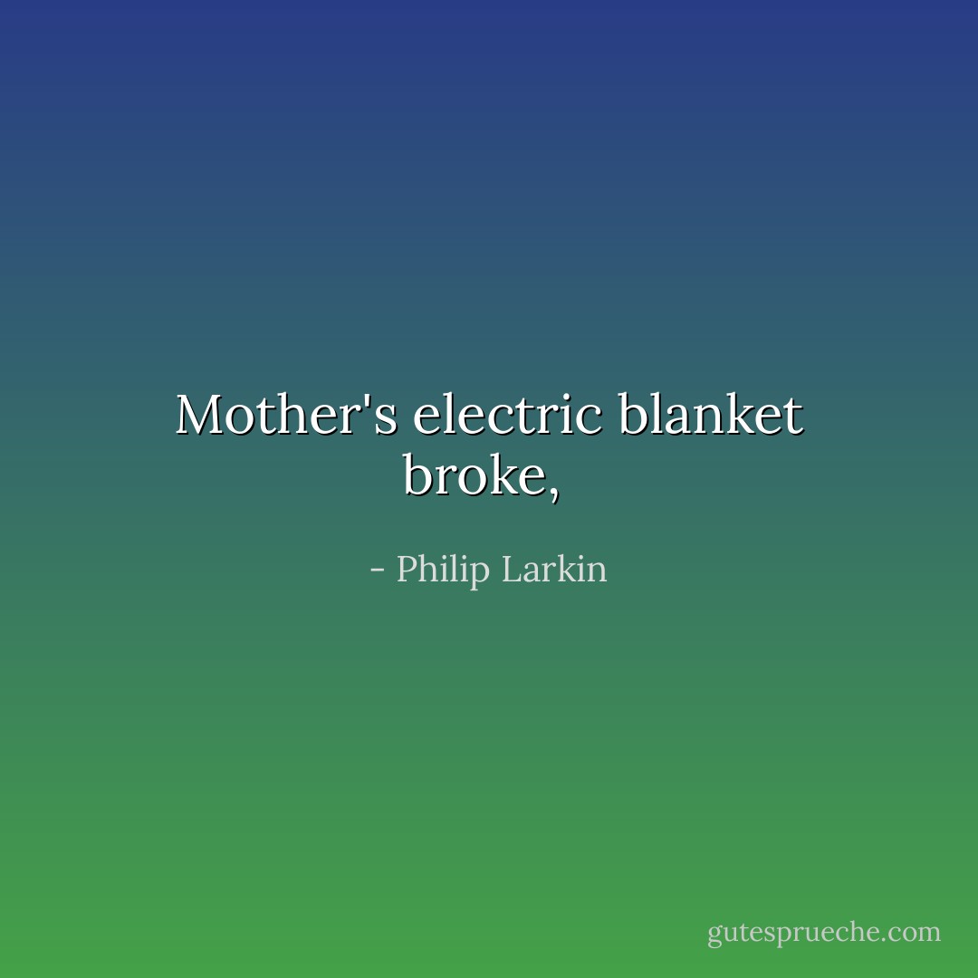 Mother's electric blanket broke,  - Philip Larkin