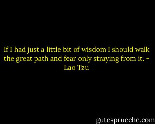If I had just a little bit of wisdom I should walk the great path and fear only straying from it. - Lao Tzu
