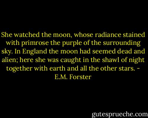 She watched the moon, whose radiance stained with primrose the purple of the surrounding sky. In England the moon had seemed dead and alien; here she was caught in the shawl of night together with earth and all the other stars. - E.M. Forster