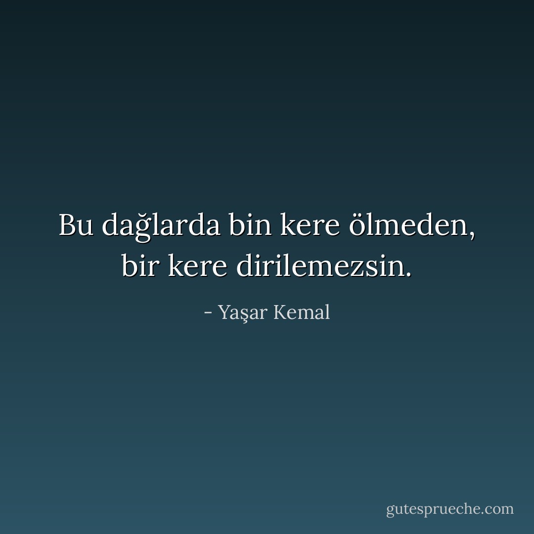 Bu dağlarda bin kere ölmeden, bir kere dirilemezsin. - Yaşar Kemal