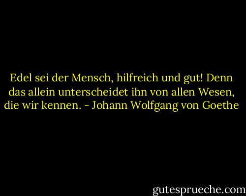 Edel sei der Mensch, hilfreich und gut! Denn das allein unterscheidet ihn von allen Wesen, die wir kennen. - Johann Wolfgang von Goethe