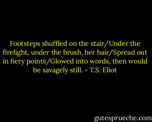 Footsteps shuffled on the stair/Under the firelight, under the brush, her hair/Spread out in fiery points/Glowed into words, then would be savagely still. - T.S. Eliot