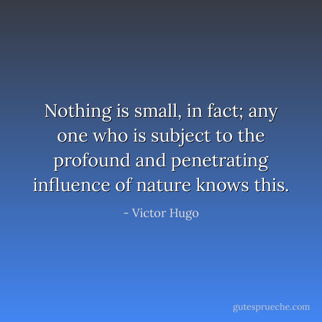 Nothing is small, in fact; any one who is subject to the profound and penetrating influence of nature knows this. - Victor Hugo