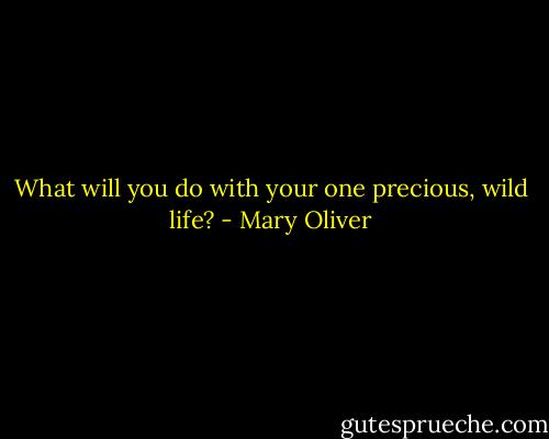 What will you do with your one precious, wild life? - Mary Oliver
