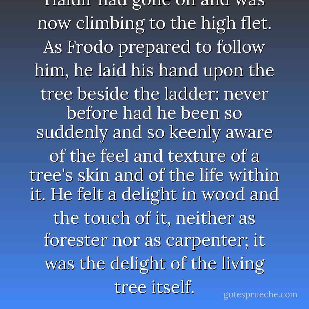 Haldir had gone on and was now climbing to the high flet. As Frodo prepared to follow him, he laid his hand upon the tree beside the ladder: never before had he been so suddenly and so keenly aware of the feel and texture of a tree's skin and of the life within it. He felt a delight in wood and the touch of it, neither as forester nor as carpenter; it was the delight of the living tree itself. - J.R.R. Tolkien